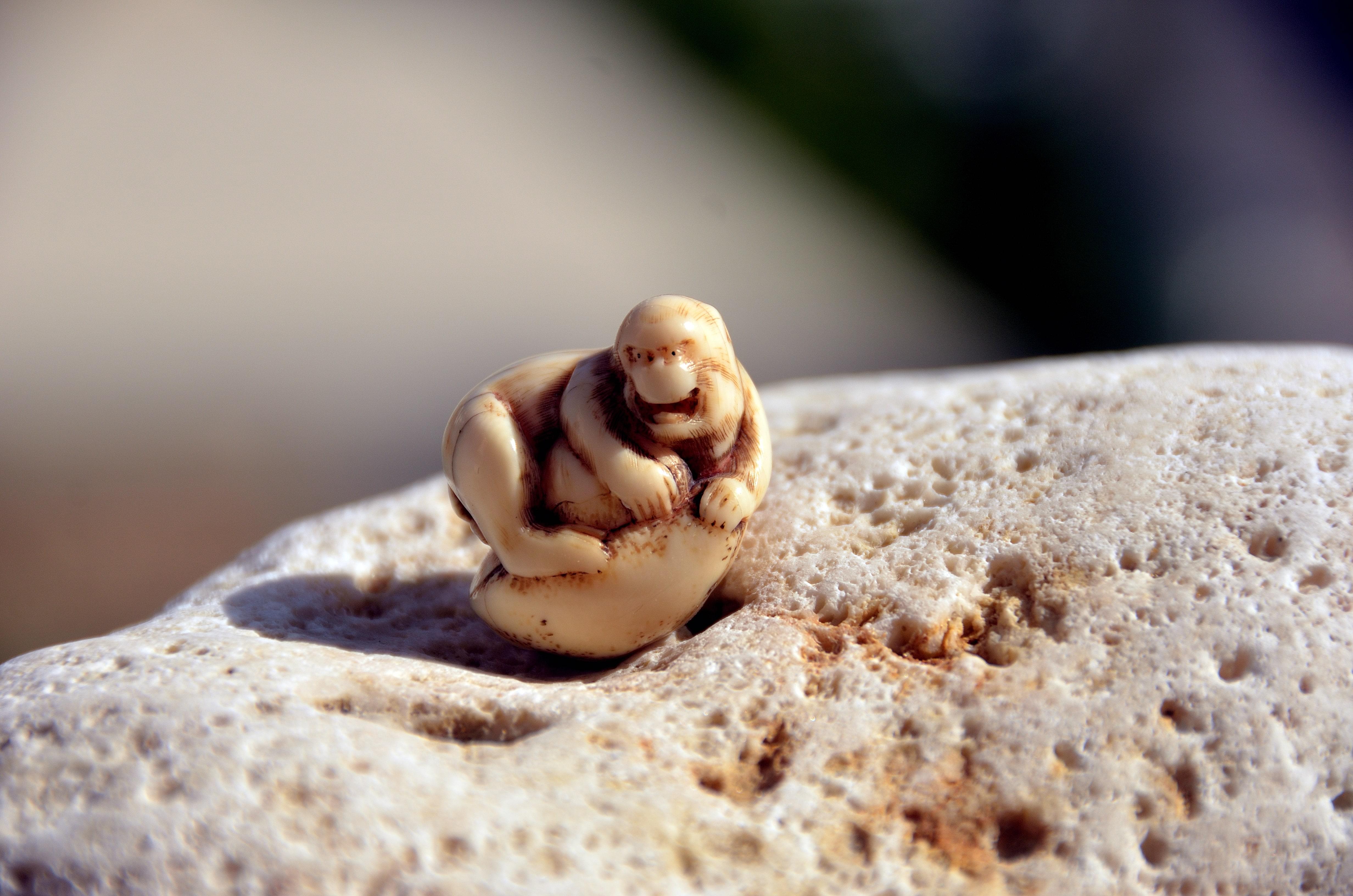 Netsuke of a Monkey Holding a Nut – Late Edo Period, 19th Century
